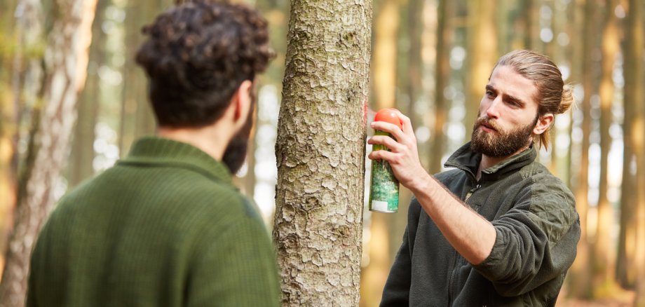 Junger Förster markiert einen Baum mit roter Farbe aus Sprühdose für die Holzernte