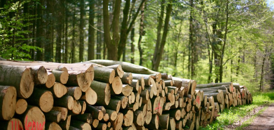 Holzpolter am Waldweg