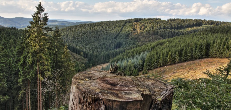 Luftaufnahme eines Waldes im Sauerland Nähe des Rothaarsteigs bei schönem Wetter.