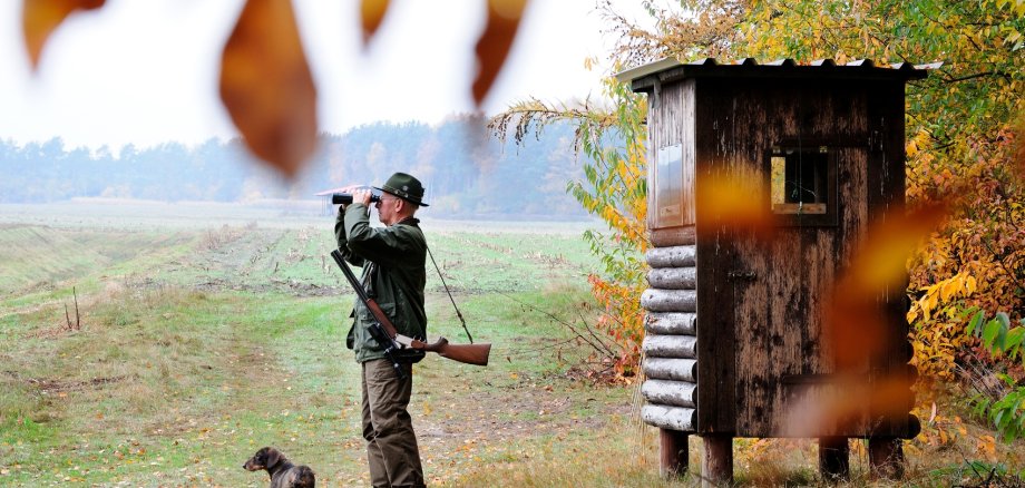 Jäger im Wald