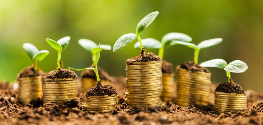 Growth, business, money.