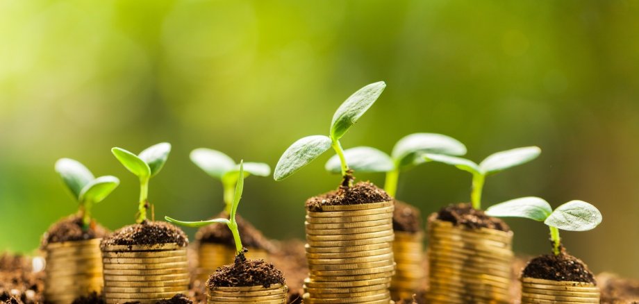 Growth, business, money. Growth, business, money.