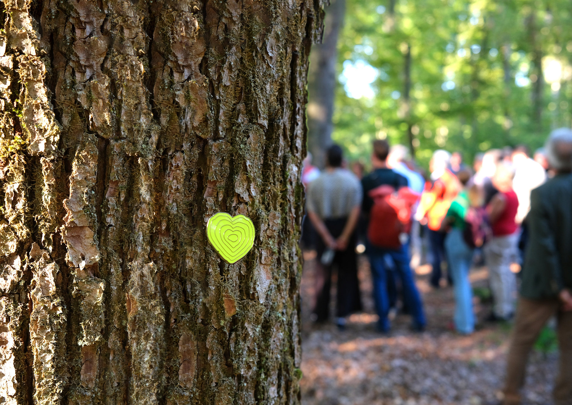 Keyvisual Deutsche Waldtage 2025 Baumrinde in Nahaufnahme mit grünem Herzchen