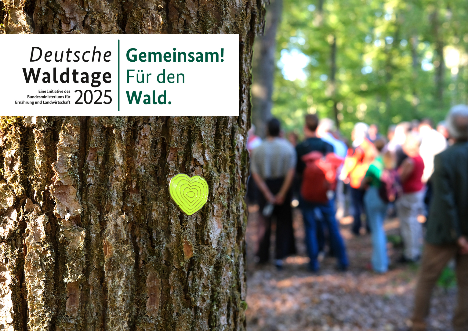 Keyvisual Deutsche Waldtage 2025 Baumrinde in Nahaufnahme mit grünem Herzchen